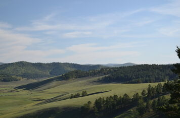 Forestry Know-how For Mongolia