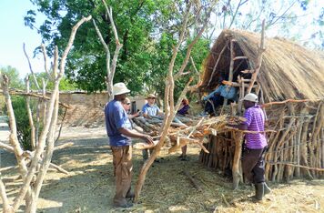 Good News From Zambia!