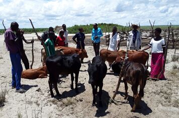 CzDA project helping develop an integrated approach to farming in Zambia