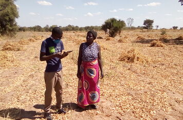 A mobile application supported by the Czech Development Agency (ČRA) helps Zambian farmers better cope with climate change