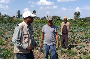 With the support of the CzDA, People in Need manages to increase the living conditions of poor farmers in Ethiopia and reduce the degradation of the country