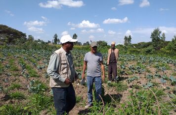 With the support of the CzDA, People in Need manages to increase the living conditions of poor farmers in Ethiopia and reduce the degradation of the country