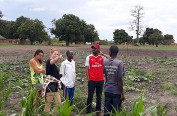 Projekt ČRA pomáhá v Zambii k rozvoji integrovaného přístupu k farmaření